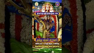 Muthyapu Pandiri Vahanam  Srivari Annual Brahmotsavam 2024  06102024  SVBC2 Tamil  SVBCTTD [upl. by Lehcem61]