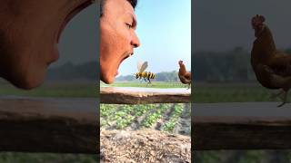 Bee chickens amp the goat in my mouth 👄 funny vfx magic video 😀🥰 ytshorts viral funny [upl. by Wun]