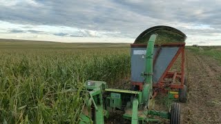 Chopping Silage 2016 [upl. by Yrallam]