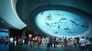 Take a video tour of the new Frost Museum of Science [upl. by Paolo]