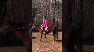 Me and Stella at today’s despooking clinic D  Fairies 🧚‍♀️ stella morganhorse equestrian [upl. by Kapeed]