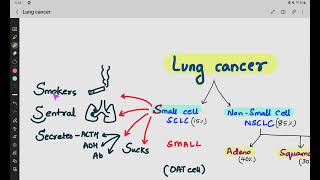 Lung Cancer Classification pathology [upl. by Lilith]