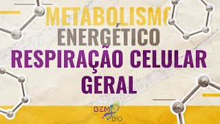 Metabolismo Energético  Respiração Celular  Geral [upl. by Clarence35]