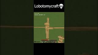 Minecraft After The Lobotomy 💀 shorts minecraft [upl. by Rica162]