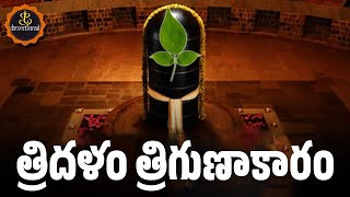 TRIDALAM TRIGUNAKARAM WITH TELUGU LYRICS AND MEANINGS  LORD SHIVA POWERFUL SONGS [upl. by Eohce]