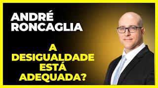 Exploramos a desigualdade crescente lucros estagnados lucros altos e o poder das empresas [upl. by Ferdinand]