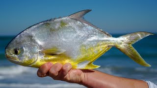 Most VALUABLE Fish at the Beach Catch Clean Cook Beach Pompano Fishing [upl. by Yerhpmuh]