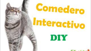 Comedero interactivo para gatos DIY [upl. by Hallam]