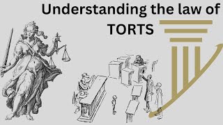 The Ultimate Cheat Sheet For Understanding Law Of Torts Quickly [upl. by Resaec]