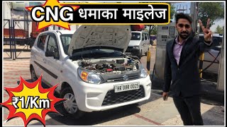 Alto 800 CNG Mileage Test  चलाने में बाइक से भी सस्ती  Ajay Kaith Vlogs [upl. by Gass]