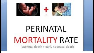 PSM 599 PeriNatal Mortality Rate PMR Still Live birth Early neonatal formula definition [upl. by Azriel303]