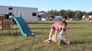 Greased Watermelon Contest 2013 [upl. by Rifkin]