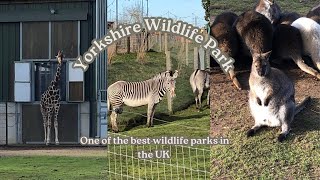 A day at Yorkshire Wildlife Park [upl. by Sherwood]