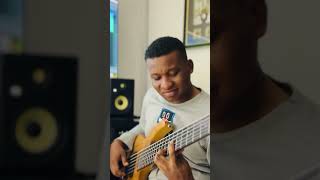 Crazy Bass Groove  Africa Will be Saved  Bass Cover [upl. by Colis]