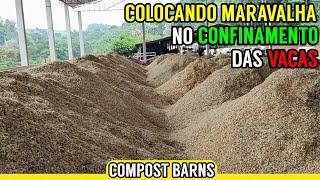 Colocando MARAVALHA em nosso Confinamento Compost Barns [upl. by Stroup]