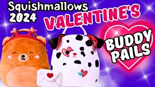 Squishmallow Valentines Buddy Buckets  Hunting For Valentines Day Squishmallows 2024 [upl. by Llohcin485]