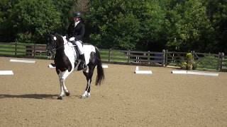 British Dressage  Prelim 14 Eland Lodge [upl. by Yecats348]