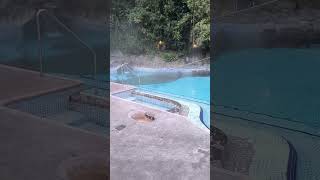 TERMAS DE PAPALLACTA ECUADOR [upl. by Asiled]