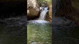 Before flowing into the Harod River the Amal Stream becomes turbulent israel israelwalking [upl. by Levitan]