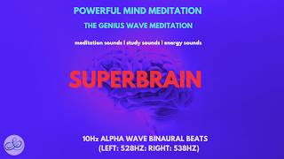 528HZ  Activate Brain to 100 Potential Genius Brain Frequency  Alpha Waves Superbrain [upl. by Lietman]