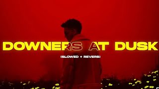 Downers At Dusk Slowed  Reverb  Talha Anjum  Open Letter  Prod by UMAIR lofi song mp4 [upl. by Liamaj]