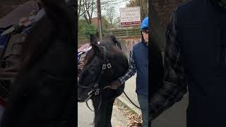 The Riderless Horse 🙏🏻 Madge at the War Memorial [upl. by Adam]