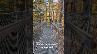 Fall Canopy Walk at Holden arboretum 500ft elevated walkway rises 65 feet above the forest floor [upl. by Randolf]