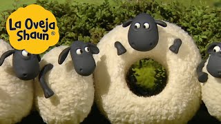 La Oveja Shaun 🐑 Ovejas y cabras 🐑 Dibujos animados para niños [upl. by Juliann]