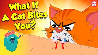 Is Cat Bite Dangerous  How Cat Bite  Learn About Cats with Dr Binocs Show  Peekaboo Kidz [upl. by Esiled]