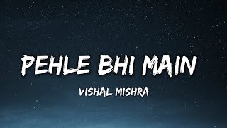 PEHLE BHI MAIN  LYRICS   VISHAL MISHRA  ANIMAL   Lyrical 7 [upl. by Ammej]