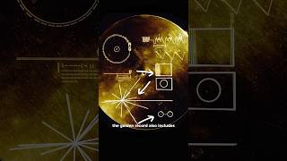 Decoding NASA’s Golden Record [upl. by Niessuh123]