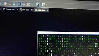 LXLE Linux Denemeleri [upl. by Tocs]