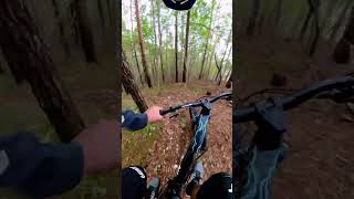 TRAIL TORNANTI FACCIAMO UN 2 CURVE mtb insta360 fvglive naturaltrail enduromtb [upl. by Finnigan798]