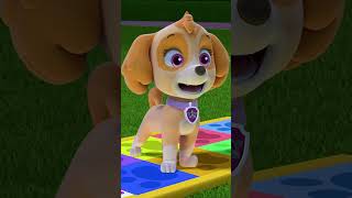 PAW Patrol  ¡Liberty y Skye bailan PUP PUP BOOGIE Shorts [upl. by Almond238]