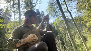 Pretty Crowing Chicken mountain banjo [upl. by Lambrecht240]