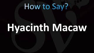 How to Pronounce Hyacinth Macaw Parrot [upl. by Auqenahc]