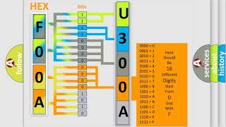 DTC Ford U300A64 Short Explanation [upl. by Ahsirahc566]