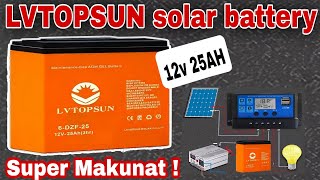 Solar Battery Lvtopsun Solar Gel Deep Cycle Battery [upl. by Atronna]