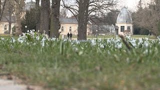 Frühling im Frankfurter Palmengarten [upl. by Ralston30]