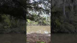 Warrandyte State Park  VIC Australia park lake river camping hike asmr relax outback [upl. by Arramahs]