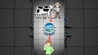 Country Delight is next Amul shorts entrepreneur countrydelight businessmanstories [upl. by Hinson]