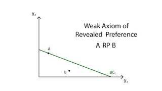 A14 Revealed preference  Consumption  Microeconomics [upl. by Mutz]