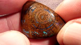 Amazing Opalized Wood Gem Concentric growth rings Bright Green Blue Huge 235 CT 28 x 22 x 5mm [upl. by Ayanat946]