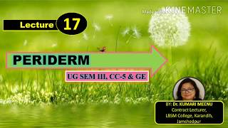 Periderm [upl. by Jeconiah]