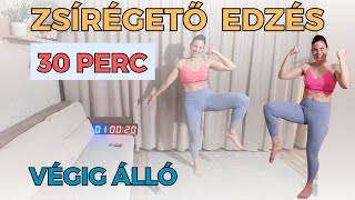 Ízületkímélő végig álló edzés  totál kezdő zsírégető edzés otthon [upl. by Eldin281]