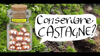 come conservare le castagne [upl. by Tay]