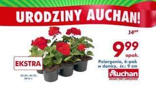 Auchan Urodziny  Pelargonia i Baleriny [upl. by Almund808]