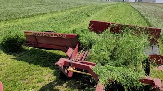 Farmer Talks  Rye vs Ryegrass [upl. by Kepner]