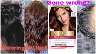 LOREAL PARIS CARAMEL BROWN HAIR COLOR  Is It Worth It  Does it Work [upl. by Gustin202]