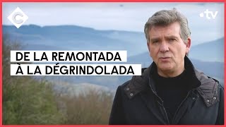 Arnaud Montebourg une « remontada » de courte durée avec Guillaume Tabard  C à Vous  19012022 [upl. by Atis237]